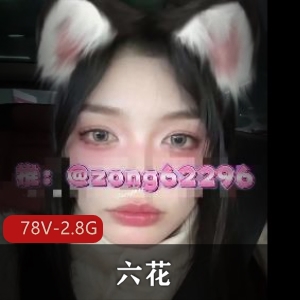 优质Y娃-六花 [78V-2.8G]