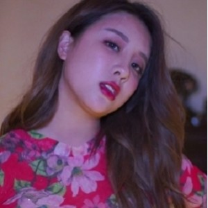 《朦胧夜》作品集