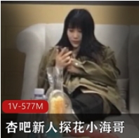 新人探花小海哥-懂兵法的小妹妹