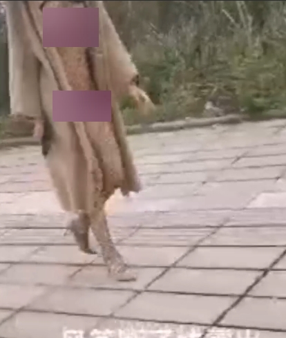 户外展示大神+风筝断了线+33.8G+补
