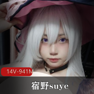 宿野suye+定制露脸14部+[14V-941M]