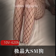 优质大SM狗三人游四人游人T盛宴【10V-620M】
