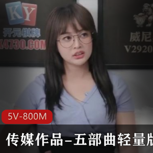 传媒作品-五部曲轻量版-5V-800M