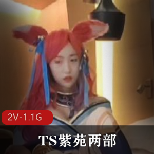 TS紫苑两部+[2V-1.1G]