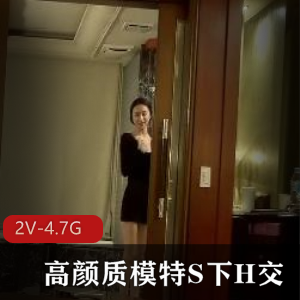 高颜质模特S下H交-长相身材都是优质+[2V-4.7G]