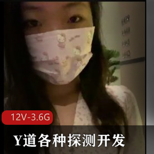 Y道各种探测开发+[12V-3.6G]