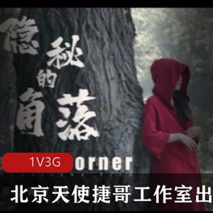北京天使捷哥工作室出品之隐秘的角落剧情大片