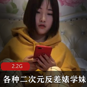 91大神-各种二次元反差婊学妹
