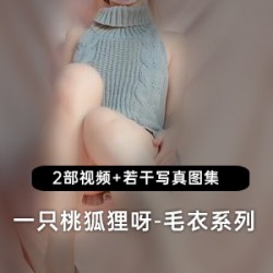 一只桃狐狸呀_灰色毛衣系列!