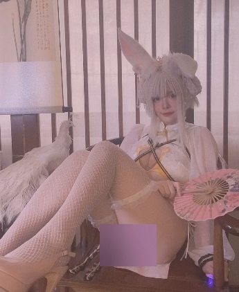 feng+ru+fei+tun+NinJa阿寨寨+作品合集+[11套]【NP/3G/百度云】