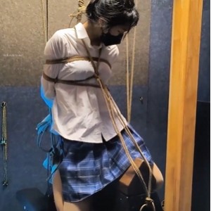 [转载搬运] 指教雨辰工作室合集[13V/26G/度盘] [13V+26G][百度盘]