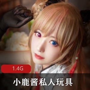 （小鹿酱）私人玩具合集