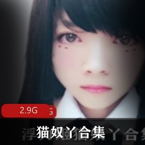 推特（猫奴丫）公交展示自述作业合集