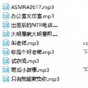 温柔年上jok音声合集：黄鸿升温暖声贤娆552.34m，百度盘下载