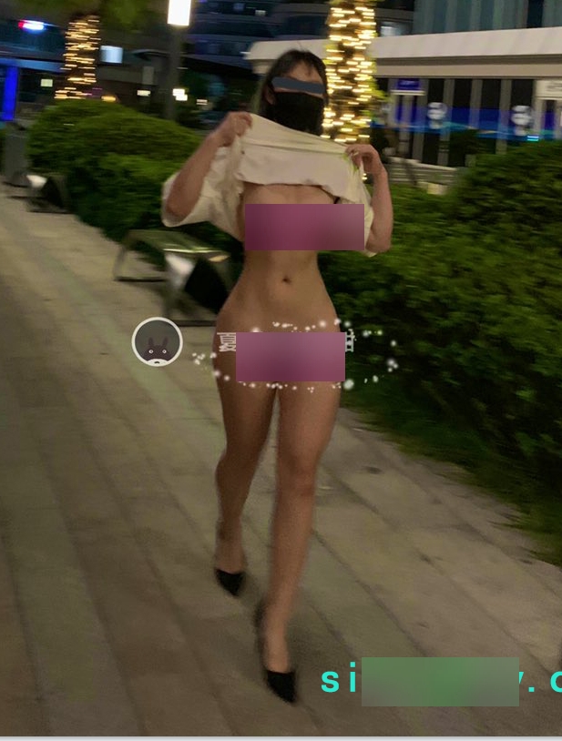 独家抖音网红夏甜热舞健身合集，视频数量超过70个，总大小2.1G，永久链接，失效补看好多人求