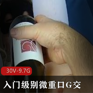 MsFine重G交洋马小扩大合集二[30V9.7G]