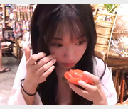 苏畅大合集：湾湾出品，作品观看下载，小伙伴必备，三部曲期待