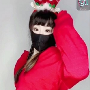 91淑仪5V440m圣诞礼物