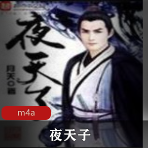 《夜天子》有声小说：历史题材，神棍叶小天，贪官污吏，六扇门牢头儿视频大小/数量