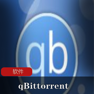 qbittorrent中文绿色增强版：简单快捷，下载工具给力