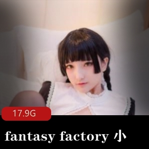 fantasyfactory小丁合集，17.9G丰富精彩，老驾驶员必看