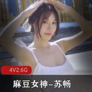 麻豆女神苏畅4V画质作品合集，时长100分钟，2.6G大小