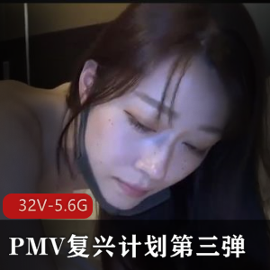 PMV复兴计划第三弹合集：名场面小H爆汁作品剪辑32V-5.6G下载观看