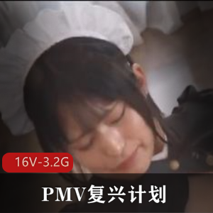 PMV复兴计划：亚洲节选新年精品，作者自拍，16V-3.2G，八神摇剪辑，特拍youma，无圣光口B，服装进入女主观看