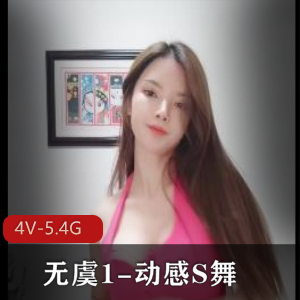 动感S舞作者自拍视频合集，5小时全程，舞蹈爱好者福利