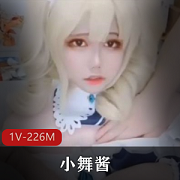 小舞酱资源合集226MB，百度内部盘下载