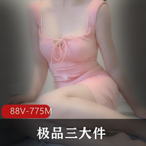 网红少女身材女仆黑丝视频88个V共775M热辣发烧必看