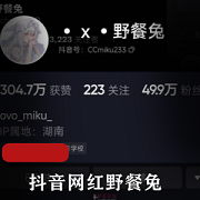 野餐兔：抖音网红私拍视频资源，舞蹈变装全纪录