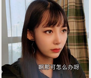 颜值资源美女律师救夫作品数量大