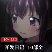 岛国NTR风暴：开发日记汉化合集，女主故事一网打尽监控视频