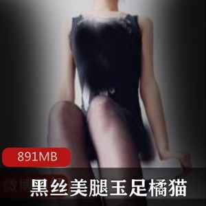 橘猫黑丝美腿资源合集，火热开放，891MB