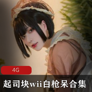 精选身材，翘臀女神FL姬魅魔束缚4G视频合集