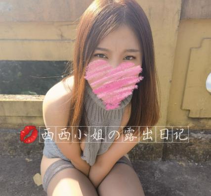 特殊癖好少妇西西野外打野视频合集506M