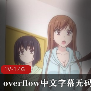 overflow完整版动画片，中文字幕，岛国出品，家庭乱L剧，青梅竹马，无保护进入版，下载观看