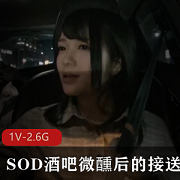 南梨央奈1V-2.6G微醺素颜用嘴爆C颜S视频