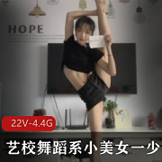 艺校舞蹈系小美女一少直播精彩服装诱惑玩具一指禅核酸血22个视频4.4G