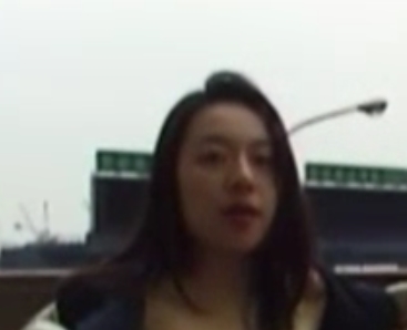 昭和作品珍藏：徐婕的整理合集，百种尺寸作品一网打尽！