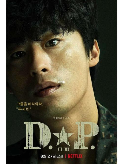 《2021最新：D.P逃兵追缉令》——豆瓣9.2分精彩动作犯罪剧