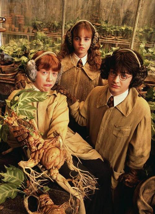 集约观影：2001年哈利波特系列电影英语wai+gua中字版25G1080PMKV