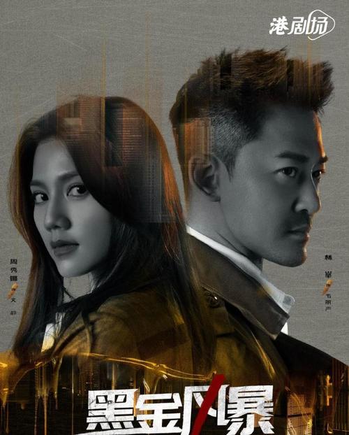 2022年热门犯罪动作片：《黑金风暴》4K版，国粤双语，内嵌中字，林峯、周秀娜、黄浩然主演