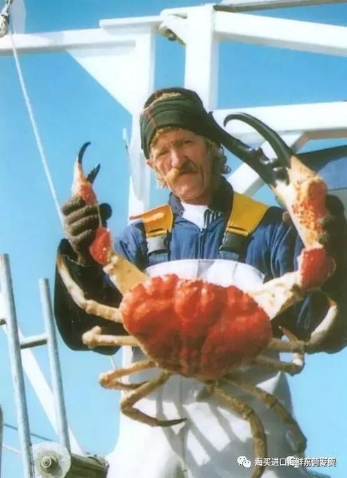 瑞典动作片《黑蟹行动BlackCrab》：视频原画出色，倍速播放，多语言配音