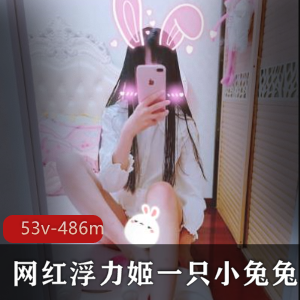 FL姬小兔兔自我安慰精品合集，视频大小486MB，绅士们速来欣赏！