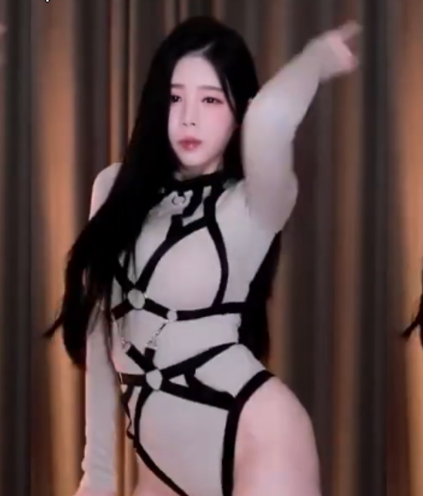 《AfreecatvBJ黑珍超清无水印直播热舞合集》268V+52G，热舞诱惑不闪现，百度盘限时下载