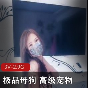 精选小狗视频：3V-2.9G，高级宠物失猛娆跪舔饮尿狗链教育