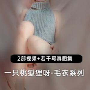 桃狐狸呀灰色毛衣系列