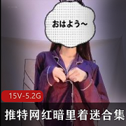 推特网红暗里着迷合集：刘德华15V5.2G身材皮肤白皙漏脸展示